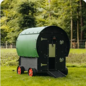 Coops - Nestera - Wagon