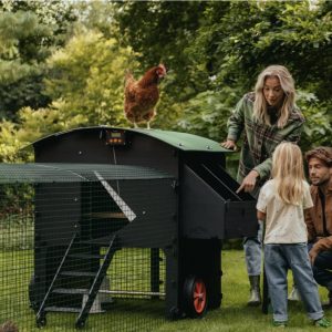 COOPS - NESTERA - PENTHOUSE SMALL