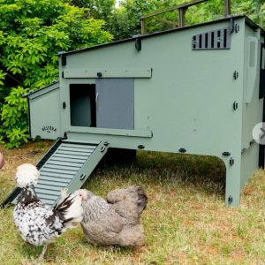 Coop Nestera – Aspen 10