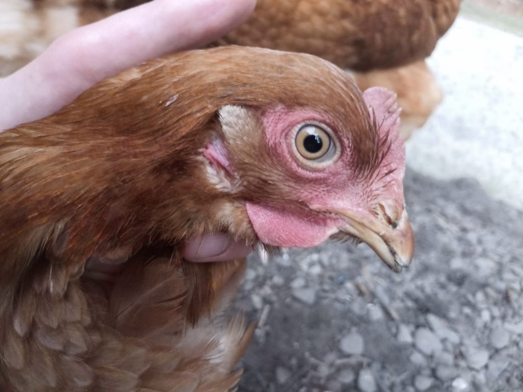 a3e792bc-5300-4d1b-8f7d-85639bffed27